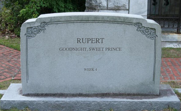 RUPERT
